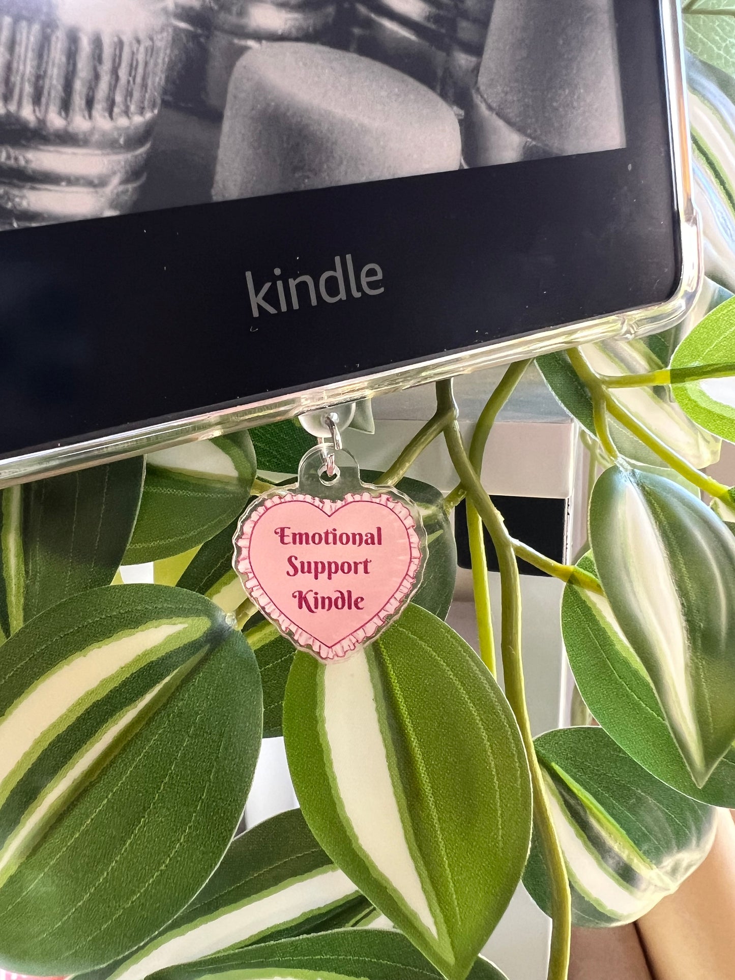 Kindle / E-Reader Emotional Support Kindle