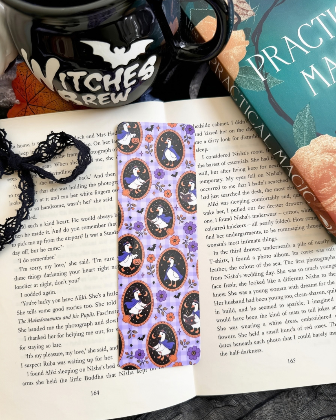 Witchy Goose Frames Bookmark