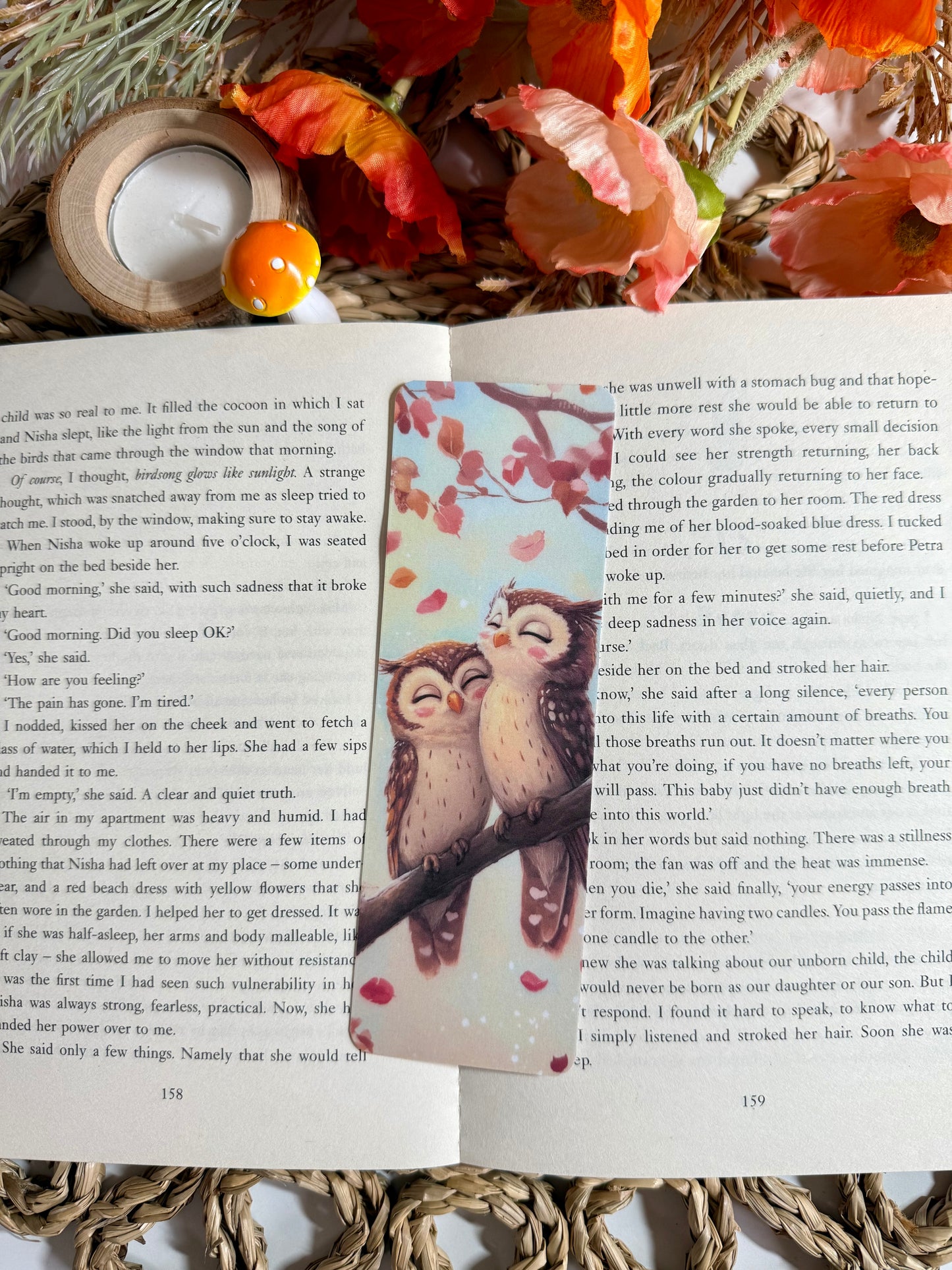 Autumn Owls